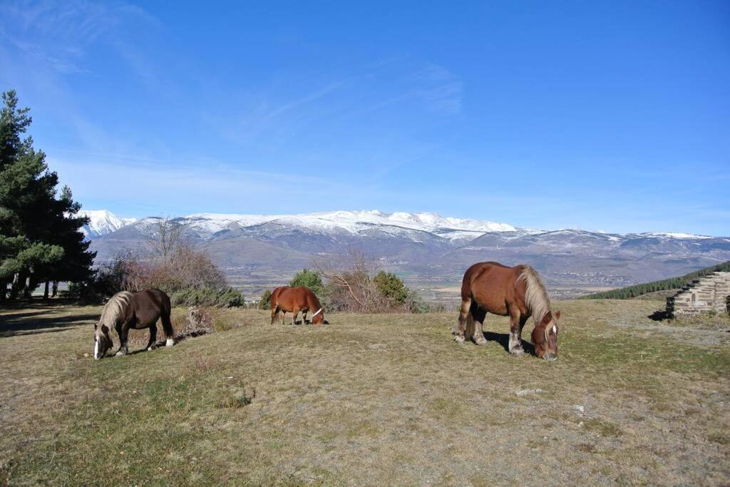 Font-Romeu La Plane Sud - Vue Panoramique Leilighet Eksteriør bilde